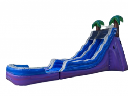 20 ft. Tropical Paradise Water Slide (Wet)