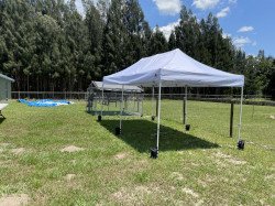 IMG 5766 1683489765 Tent 10'x20' (Commercial Pop-up)