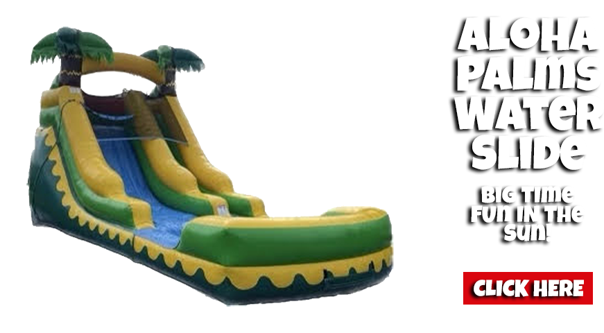 water slide rentals Bounce house rental in Dundee, Florida